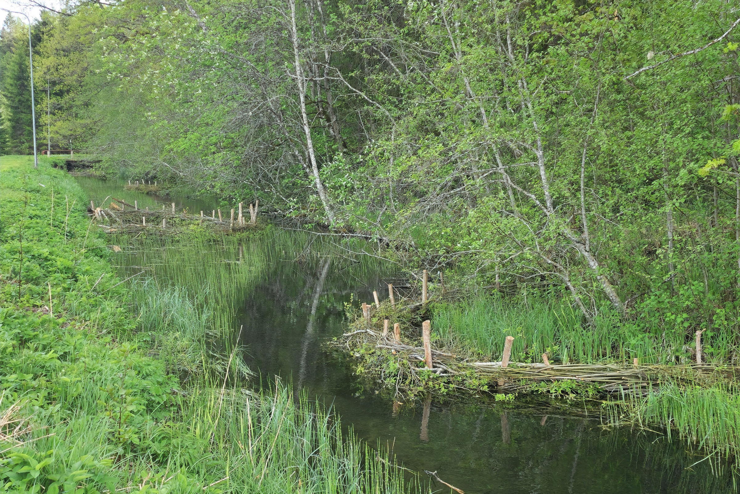 Jänijõgi saab taastades tagasi oma kunagise elujõu