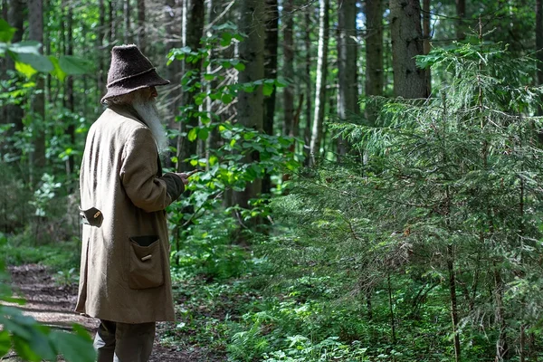 Ülemiste keskus toetab loodussõbraliku metsanduse tutvustamist