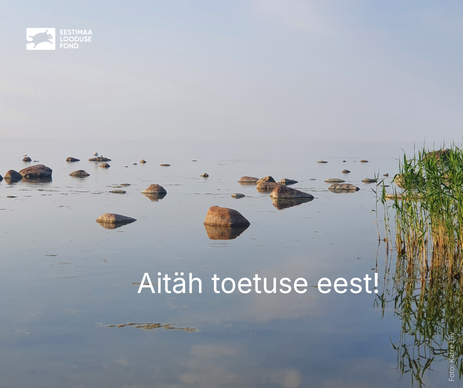 Aitäh annetajatele!