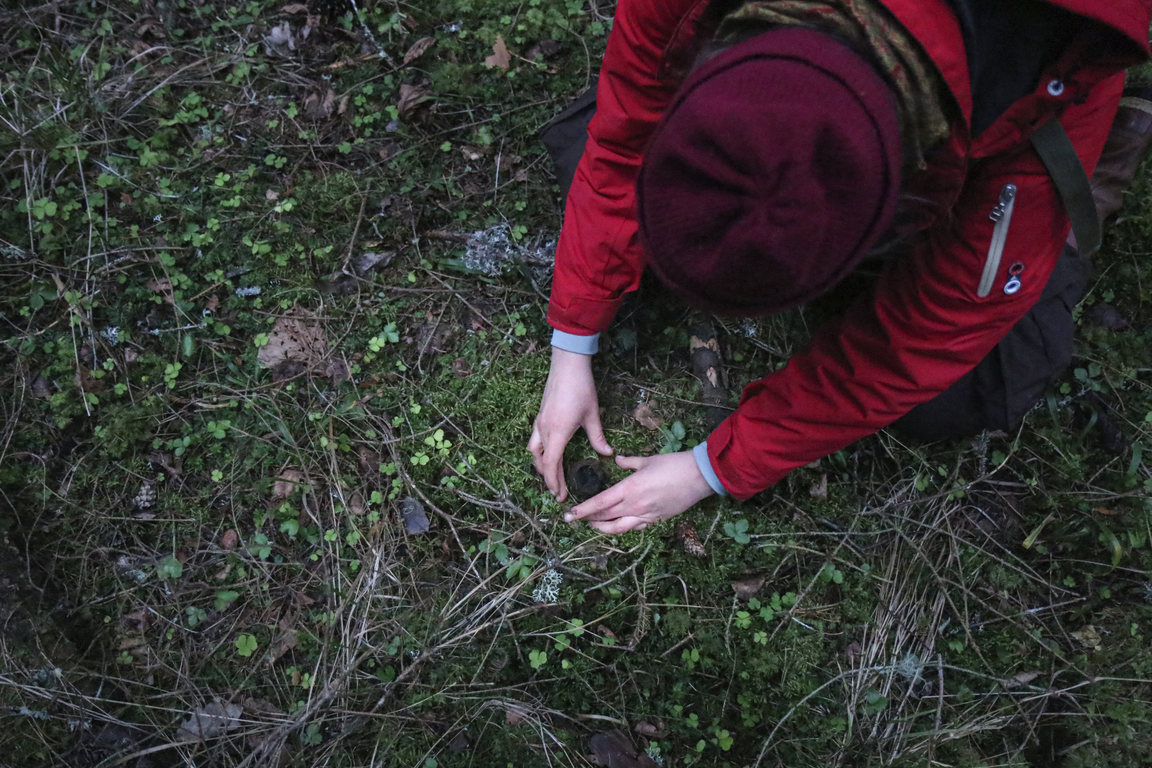 ELF otsib noore looduskaitsja auhinna kandidaate