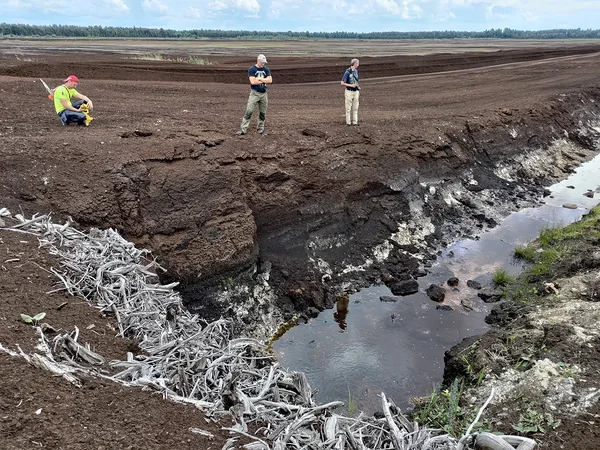 Tartu Ülikooli teadlased uurisid Lavassaare turbavälja süsinikuringet