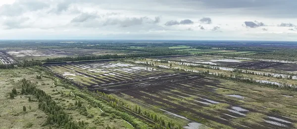 Kutse osalema Lavassaare soode taastamistööde hankes