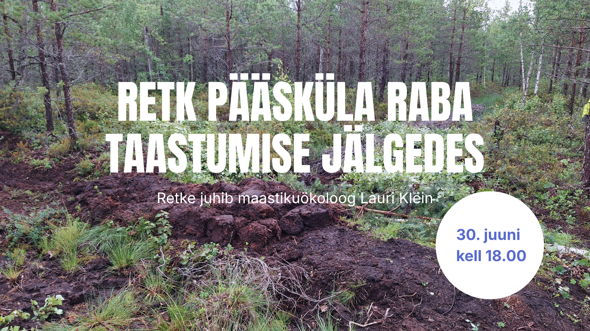 KUTSE retkele “Pääsküla raba taastumise jälgedes”