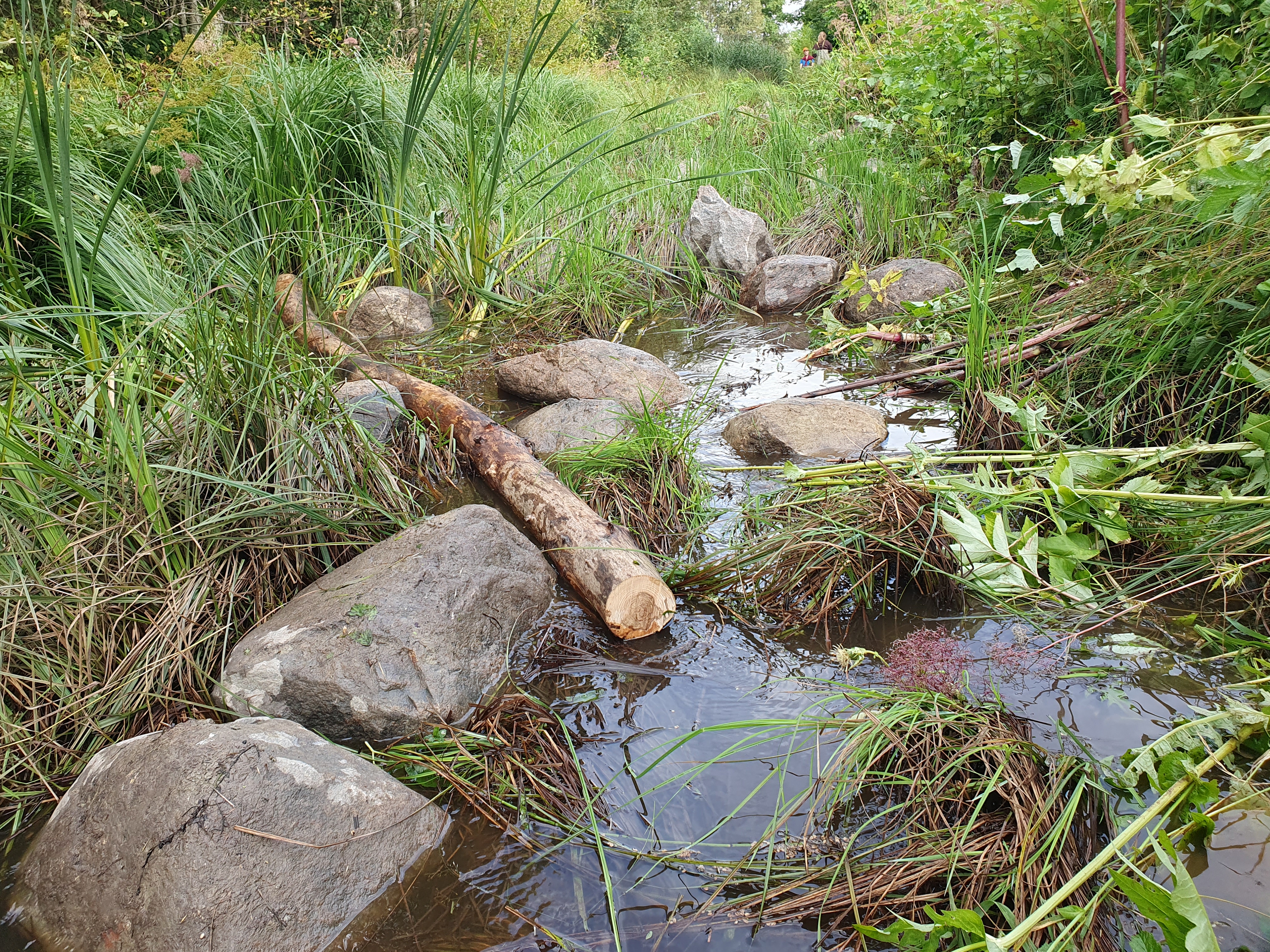 Siia ilmub esimene postitus detsembri esimeses pooles.