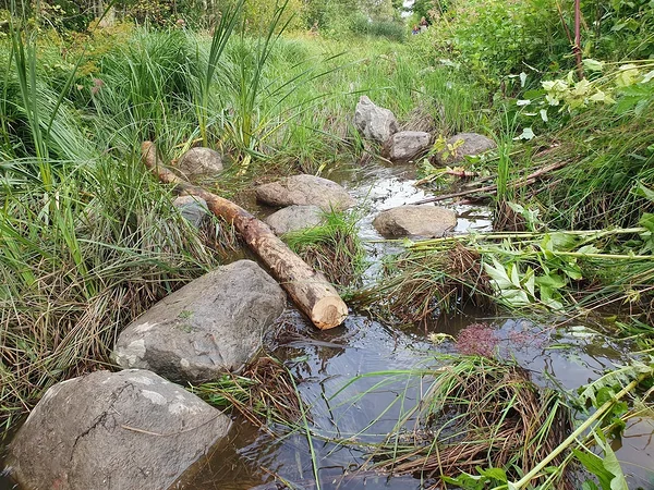 Siia ilmub esimene postitus detsembri esimeses pooles.