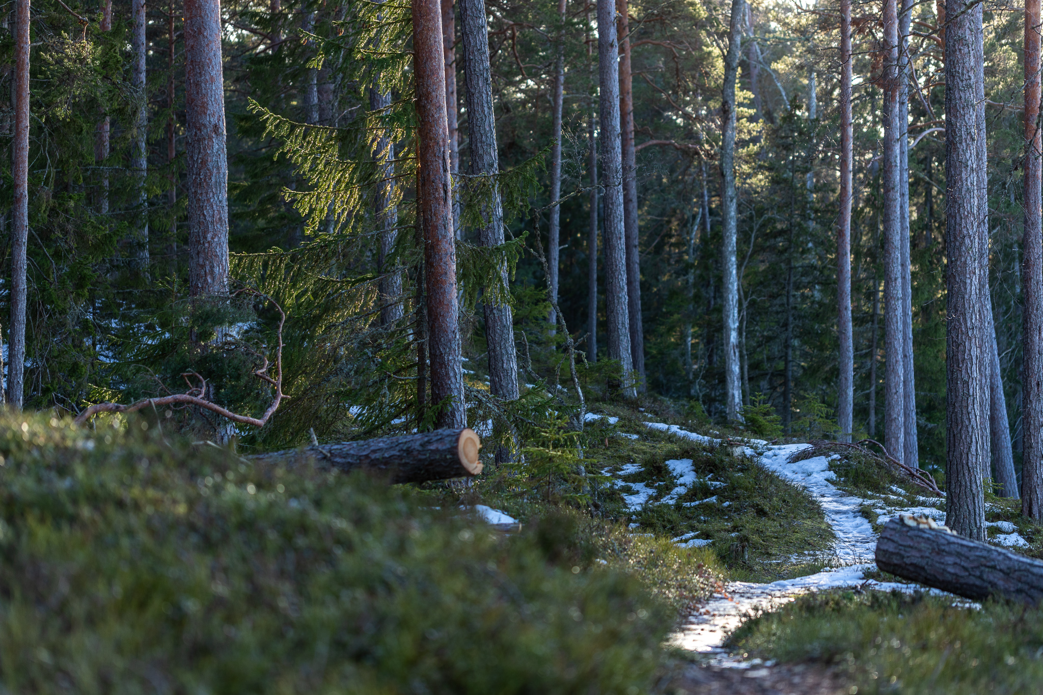 ELF toetab Euroopa Komisjoni värsket heitmete vähendamise soovitust, ent peab seda miinimumiks