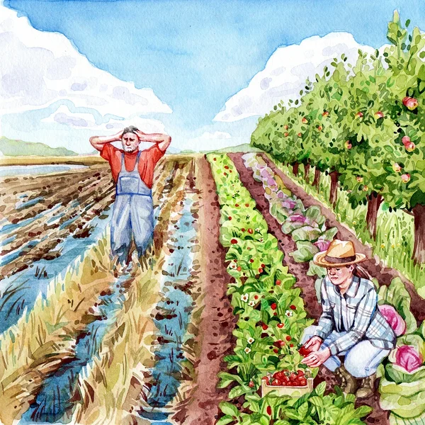 Illustratsioon: põllumajanduses aitab kliimamuutuse mõjudega toime tulla mitmekesisus