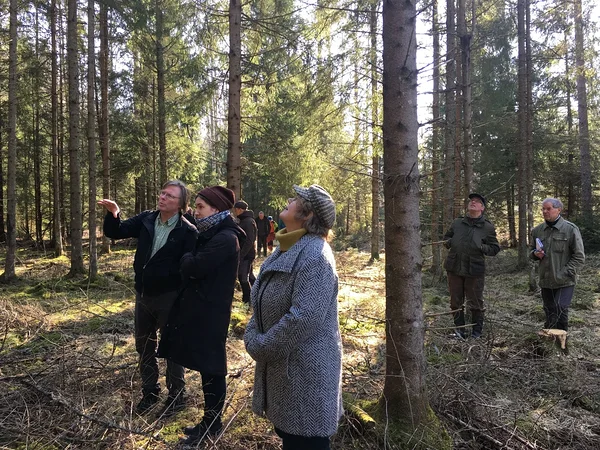 Tehti esimesed olulised sammud püsimetsanduse sertifikaadi poole